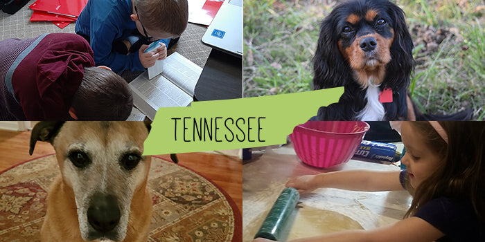 Meet 4 Families from Tennessee