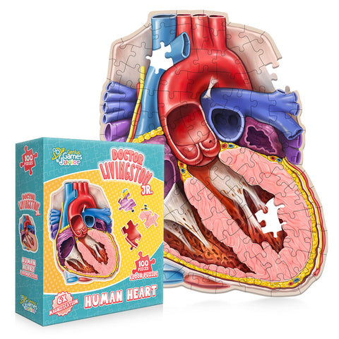 Dr. Livingston JR Human Heart Puzzle