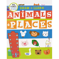 Draw + Learn Animals + Places cover. The cover has thick strips across the cover in different colors. There are colored doodles of a skyscraper, ants, cats, a bear, a goose, a monkey, a mouse, a caterpillar, a house, and a bee with a pencil.