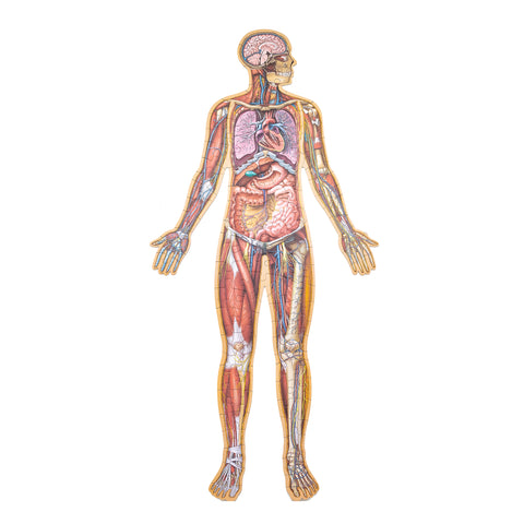 Dr. Livingston JR Human Body Floor Puzzle